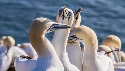 嘉善最新公积金卡提取现金方法app方法分析(最方便真实的嘉善公积金卡怎样从手机里取出来?方法)