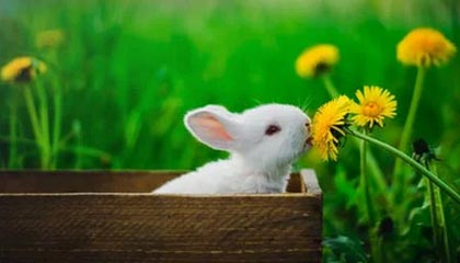 嘉善最新怎么提现公积金卡里的钱方法分析(最方便真实的嘉善怎么将公积金提现方法)